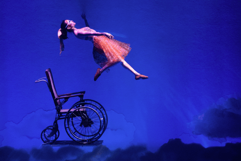 Cirque du Soleil LUDÕ — Vallarta Premium Balcony Experience: Show, Champagne, and Canapés