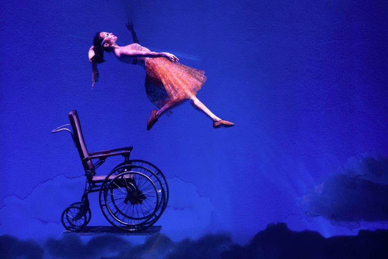Cirque du Soleil LUDÕ — Vallarta Premium Balcony Experience: Show, Champagne, and Canapés