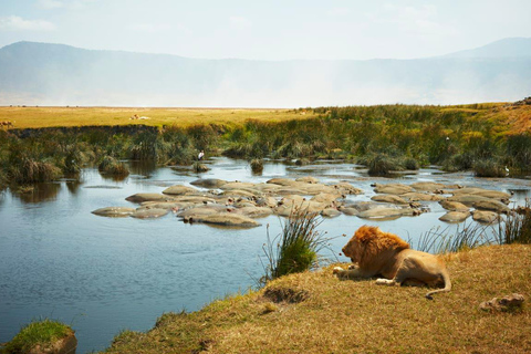 Safari di 3 giorni in Tanzania