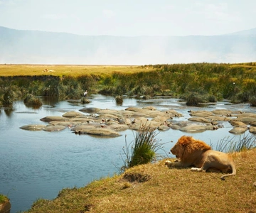 3 Day Tanzania Safari