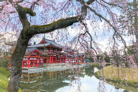Osaka: Kyoto & Uji Day Tour, Kinkakuji&Kiyomizudera&Byodo-in Kyoto & Uji Day Tour | 8:00 AM from Osaka