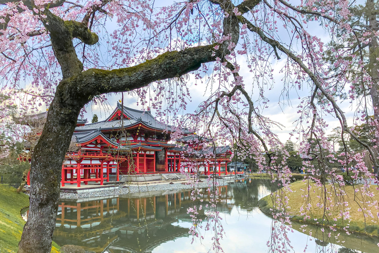 Osaka: Kyoto & Uji Day Tour, Kinkakuji&Kiyomizudera&Byodo-in Kyoto & Uji Day Tour | 8:00 AM from Osaka