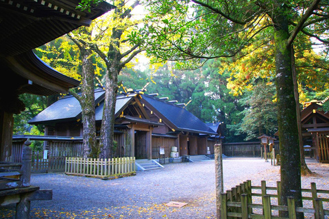 From Fukuoka: Miyazaki, Takachiho Gorge and Shrines Day Tour