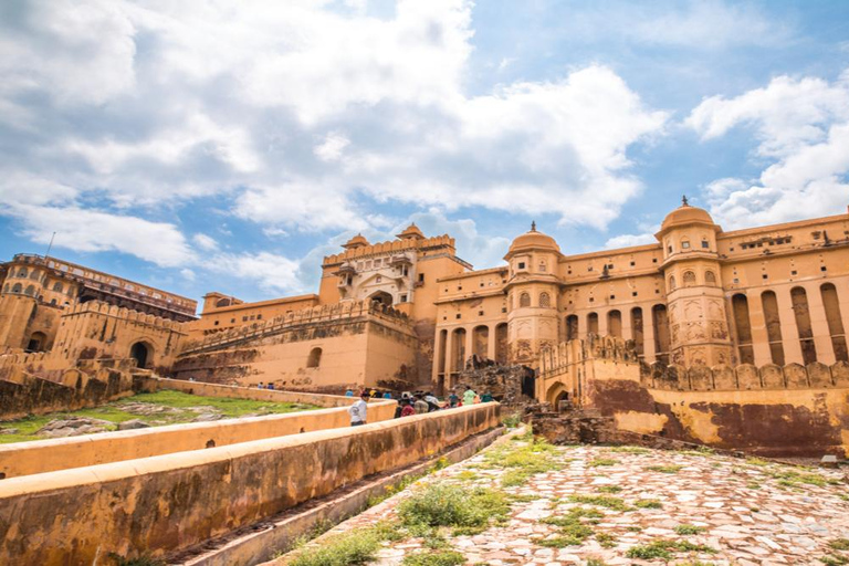 Jaipur: Tempio delle Scimmie, Forte d&#039;Ambra, Jal Mahal ecc. Tour in auto