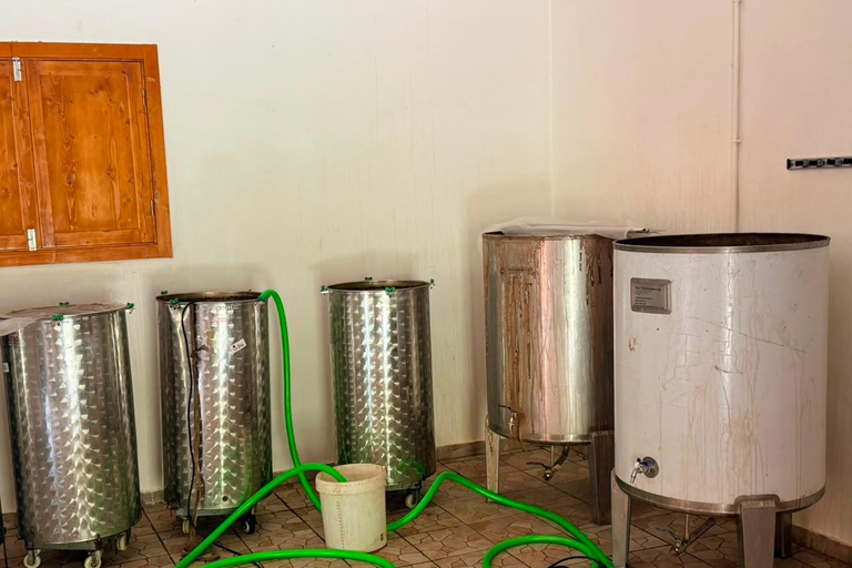 Cidade Velha Tour with Grogue Tasting & Lunch