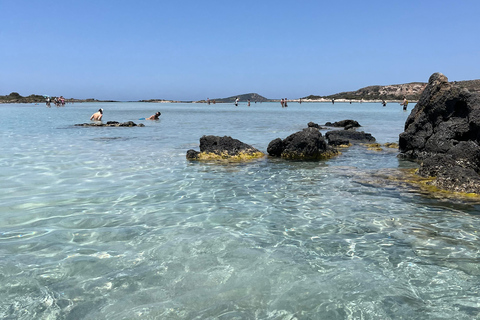 From Rethymno: Elafonisi Beach Day trip with Stops in Elos