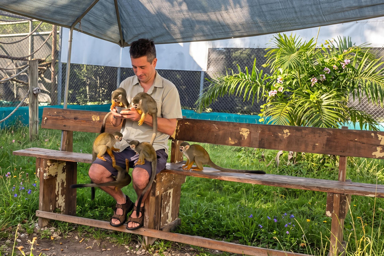 Monkeys & Cultural Plantation with Transport Monkey Adventure Without Transportation