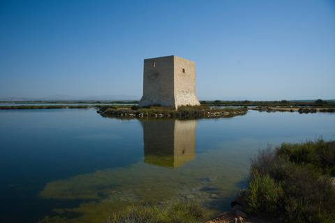 Village Street Market: Santa Pola