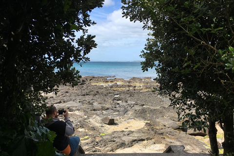 Auckland Volcanoes Full-Day Small Group Tour