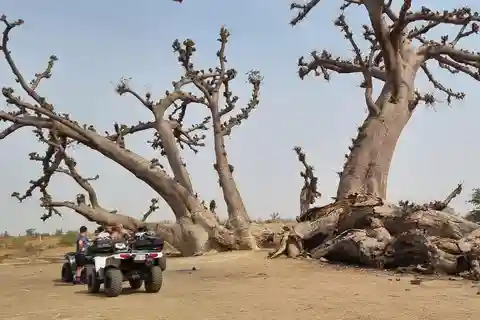 Somone (1 hour from Dakar): quad biking, pirogue ride, and lunch with your feet in the water