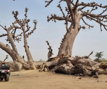 Somone (1 hour from Dakar): quad biking, pirogue ride, and lunch with your feet in the water