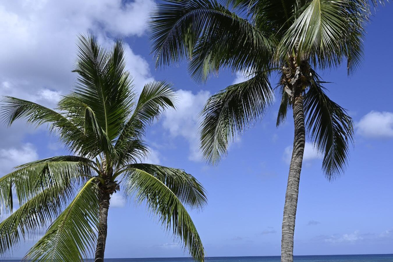 Plaża Doctors Cave, Margaritaville i całodniowa wycieczka na zakupyZ Montego Bay