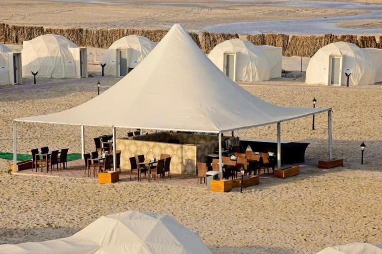 Doha Arabian Overnight : Desert Safari & Starlit Camp Stay