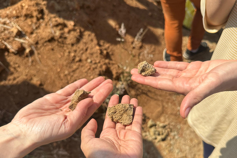Oaxaca: Artisan Clay Pottery Workshop w/Breakfast and Brunch