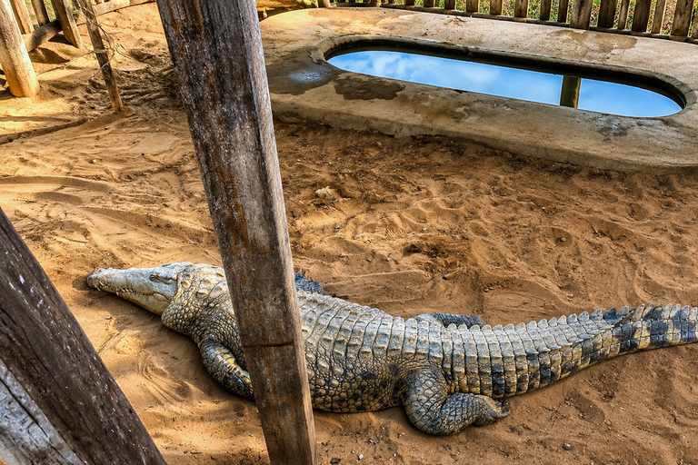 From Tumbes: Puerto Pizarro Mangrove and Islands Boat Tour