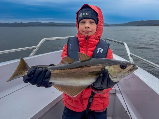 Stavanger: Small-Group Fishing Experience by Premium Boat