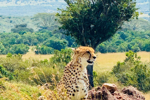Diani/Mombasa: Private Tsavo East Day Safari in 4x4 Cruiser.