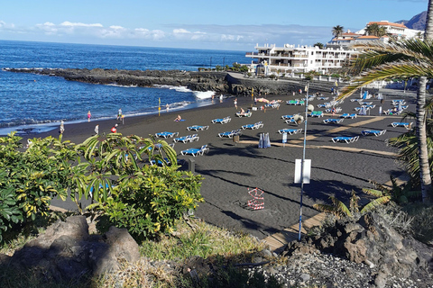 Tenerife: Island Tour with Teide Volcano and Lunch