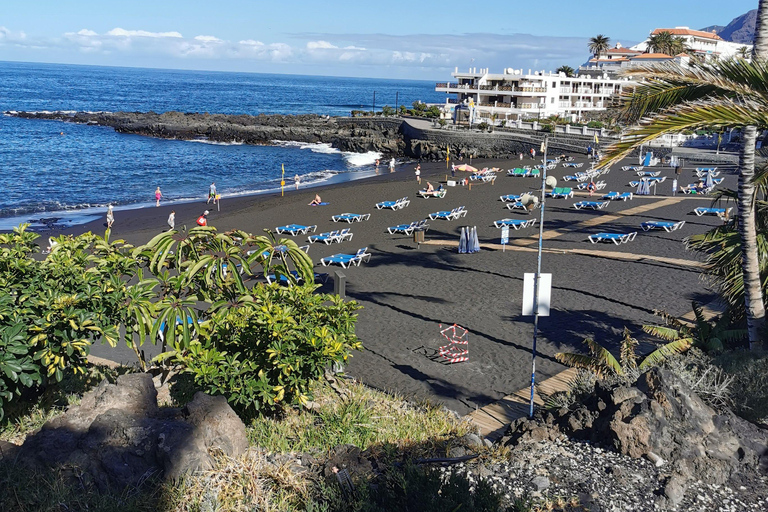 Tenerife: Island Tour with Teide Volcano and Lunch