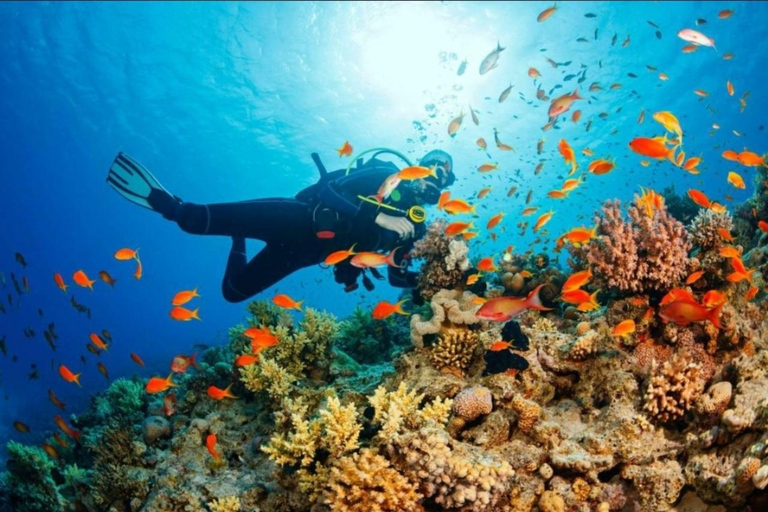 VON NUNGWI: GEFÄNGNISINSEL UND NAKUPENDA SANDBANK MIT MITTAGESSEN