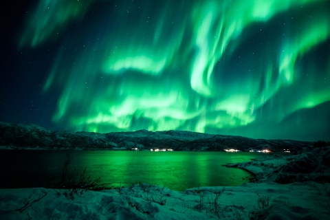 Tromsø : chasse aux aurores boréales tout compris en minibus