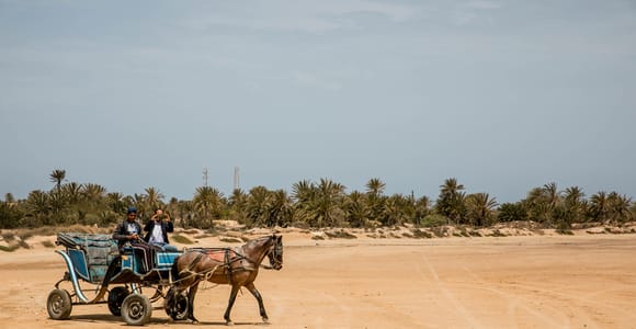 Djerba 2H sunset carriage tour between countryside and Lgune