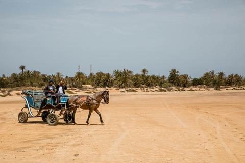 Blaue Lagune 2H Kutschfahrt in DjerbaTraditionelle Pferdekutschenfahrt in Djerba