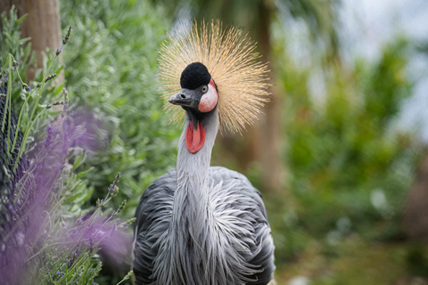 Visit to Madeira Bird Island