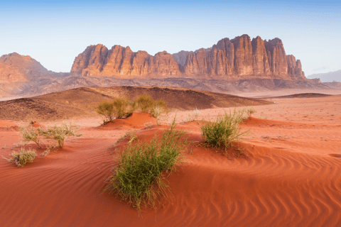 Wadi Rum: 2-Day Southern Desert Tour, Camel & Stargazing
