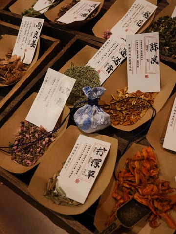 Beijing: Traditional Chinese Medicine Experience w/Dinner
