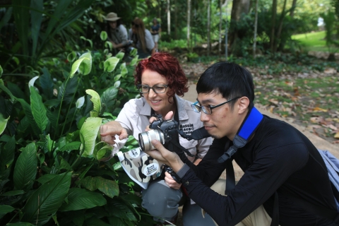 Cairns: visite photographique d'insectes des jardins botaniques de Cairns