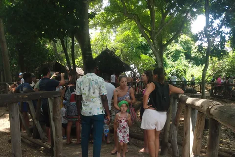 1-dagars, flyga in Mikumi från Zanzibar Safari