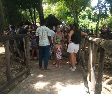 1 dzień, przyleć do Mikumi z Zanzibaru Safari