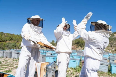 Discover the world of bees and taste their honey in Alicante