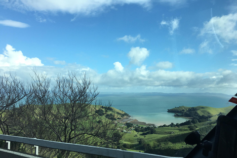 Auckland: Coromandel Beach, grottor och skog privat tur