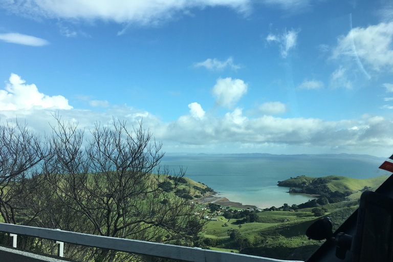 Auckland: Excursión Privada a la Playa, Cuevas y Bosque de Coromandel