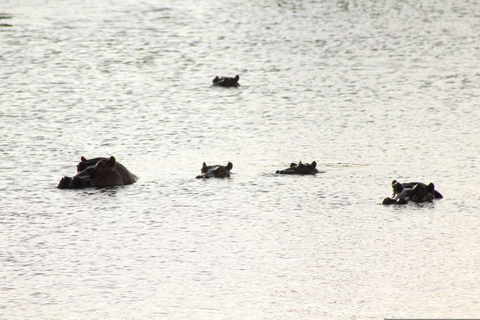 Naivasha: Hell’s Gate National Park & Geothermal Spa Tour