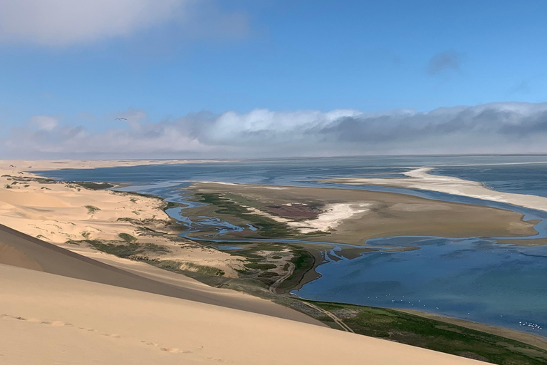 Walvis Bay : Croisière en catamaran et visite du port de Sandwich