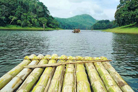 Kerala: Viaje familiar de 6 días con Munnar, Thekkady y mucho más