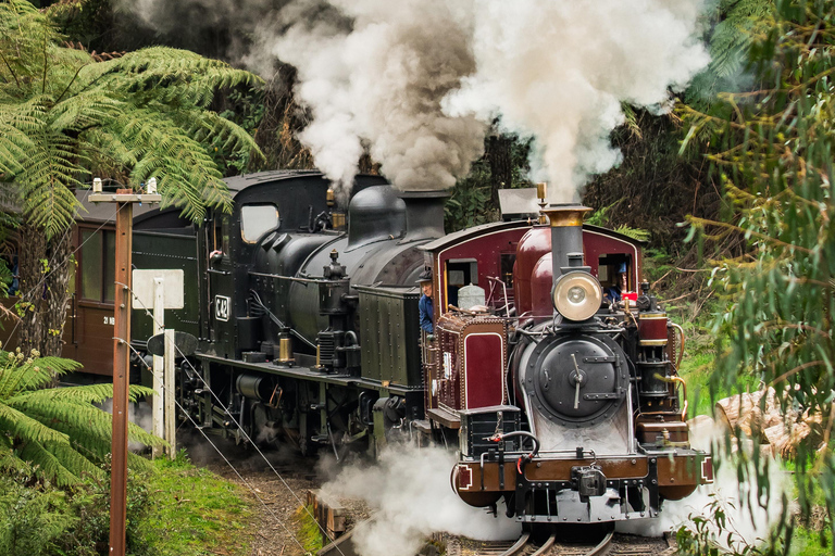 Melbourne: Lake Mountain Snow & Puffing Billy Day Tour
