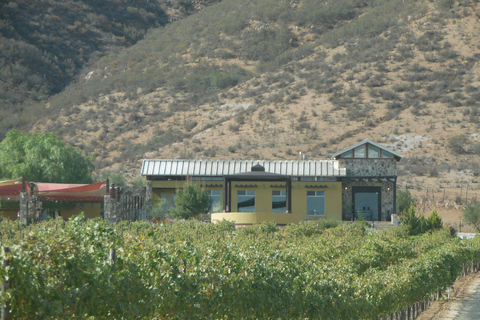 Ensenada: Guadalupe Valley Wine Route Private Tour