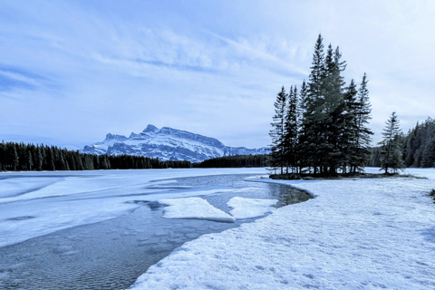 Emerald Lake, Lake Louise, Johnston Canyon, Banff Town Tour