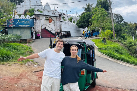 Kandy: Guided City Tour/Temple of the Tooth & Tea Factory