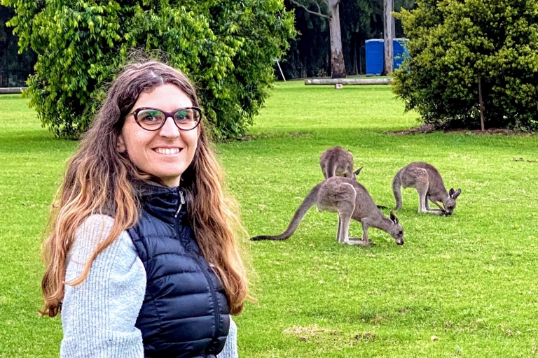 Sydney: Wild Wombats en Kangaroo ExperienceSydney: wandelen met Wombats-ervaring