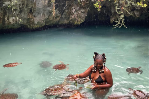 ZANZIBAR: Sea Turtles Swimming, Location Nungwi or Kizimkazi Salaam Cave Feeding & Swimming with and Sea Turtles