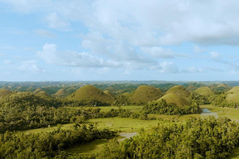 Bohol: Tour condiviso delle colline di cioccolato, dei tarsi e del fiume Loboc