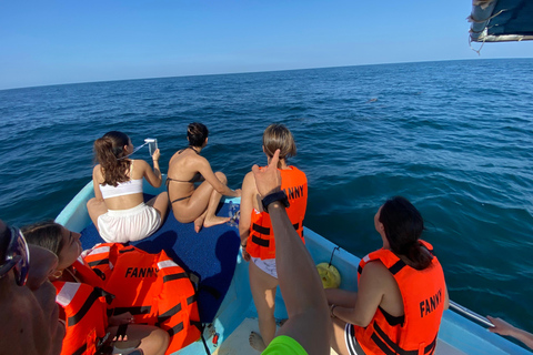 Puerto Escondido: Bootstour zu Delfinen und MeerestierenPrivate Tour