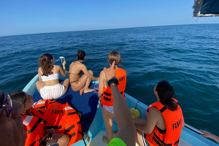 Puerto Escondido: Bootstour zu Delfinen und MeerestierenPrivate Tour