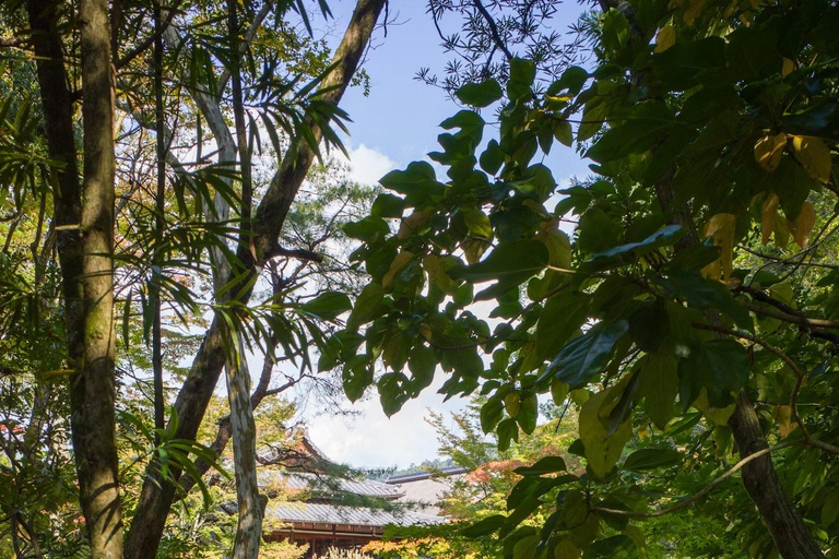 Visite guidée matinale de Kyoto avec un guide de la région - Découvrez un nouveau Kyoto.Visite guidée matinale de Kyoto avec un guide de la région - Découvrez un nouveau Kyot