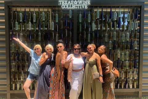 San Antonio: Fredericksburg Wineries Day Trip with Tastings Tour in English